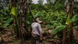 Invasiones a tierras de narcos: la otra cara que  deberá atender Petro en su reforma agraria