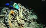 El arrecife de coral que crece en un barco náufrago de la Segunda Guerra Mundial