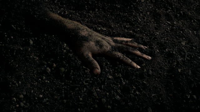 Fotos: Conozca cuáles son las fobias más aterradoras