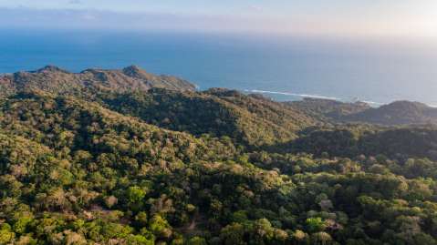 Colombia tiene nuevo mecanismo para financiar la conservación de áreas protegidas