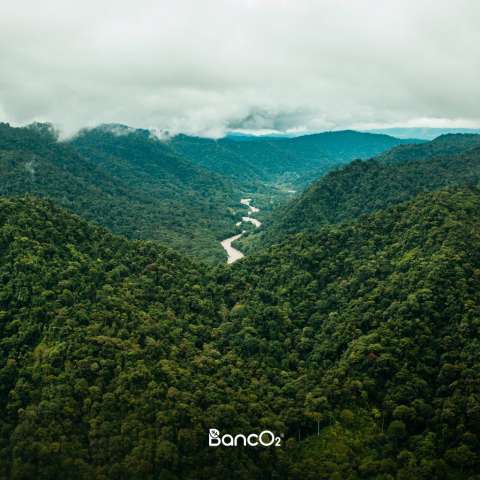 ¿Sabías que las comunidades rurales son las protectoras de los bosque y ecosistemas más importantes del país?