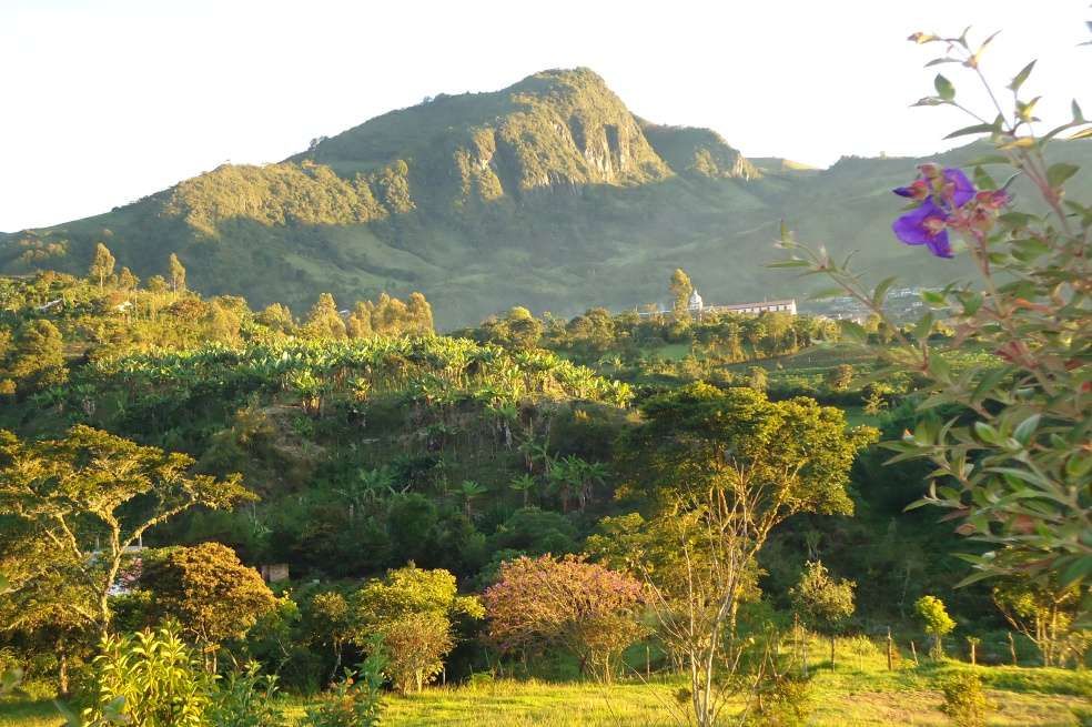 En San Lorenzo (Nariño) se cultivaban 10 de las 23 variedades de plantas de maíz. / Cortesía: Jesús Antonio Delgado