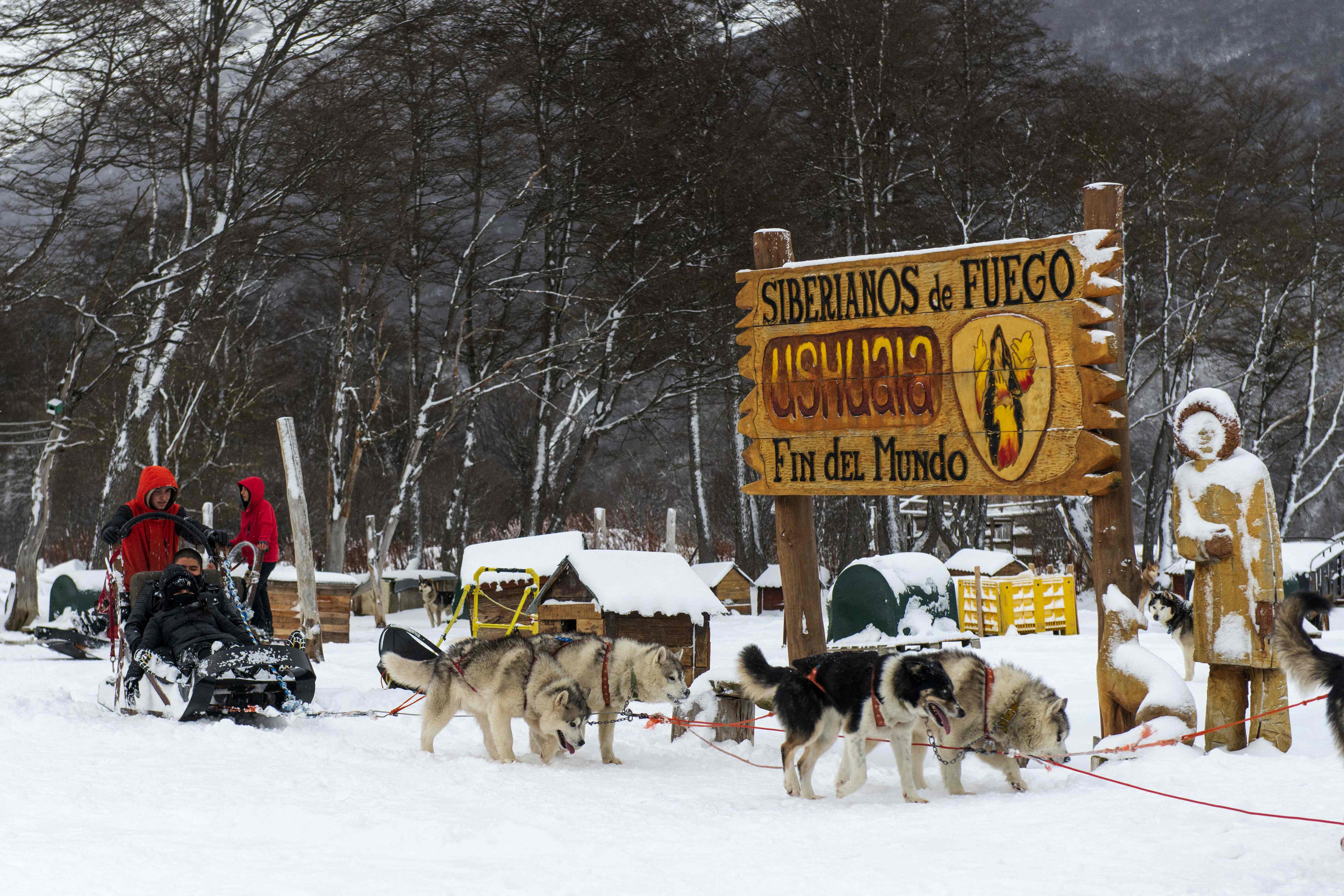 Trineos de perros en Ushuaia.