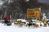 Trineos de perros atraen de nuevo el turismo en la austral Ushuaia