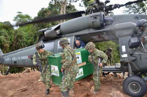 Tras ser rehabilitados, dos pumas vuelven a la libertad en Colombia