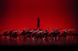 Así puede postularse al Festival Danza en la Ciudad 2024