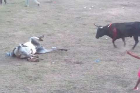 Trastornos mentales pueden ser la causa del maltrato hacia los animales