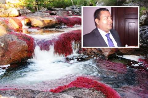 ¿Desastre ambiental? ANLA otorga licencia de explotación en la Serranía de La Macarena
