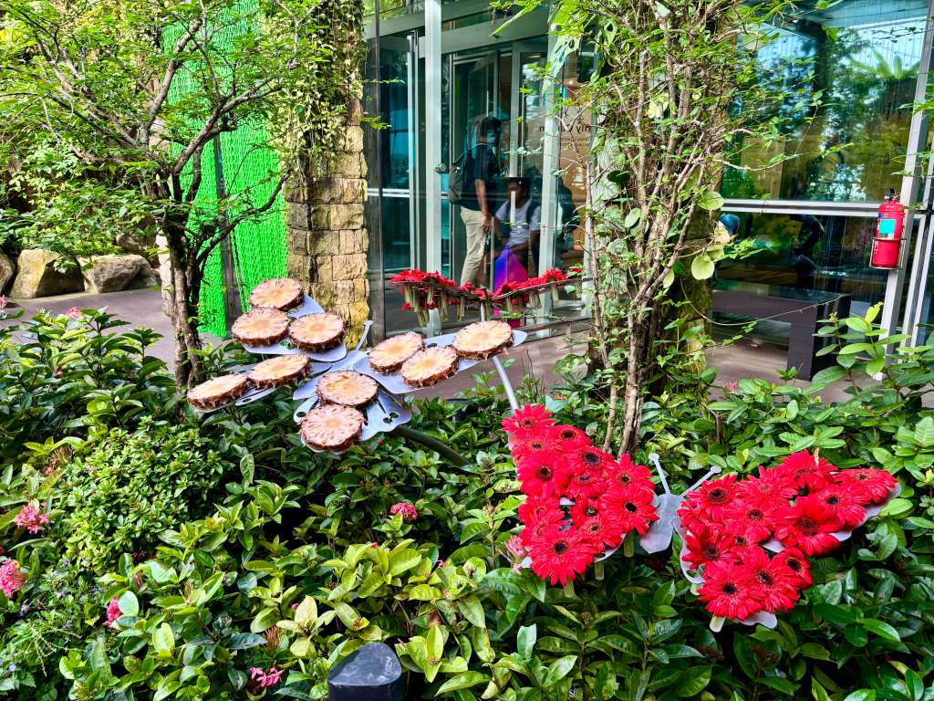 Hogar de más de 1000 mariposas, el Jardín de Mariposas en la Terminal 3 del Changi, es el primero de su tipo en un aeropuerto y cuenta con una cascada en una gruta de 6 metros de altura.