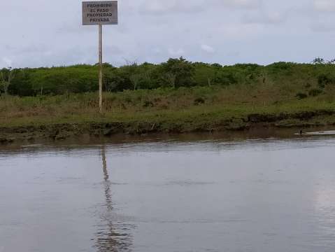Ciénagas, camarones y paramilitares  en el canal del Dique