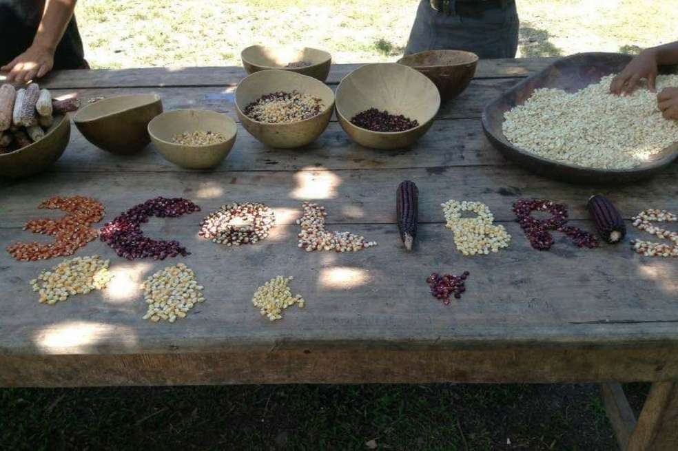 Cortesía