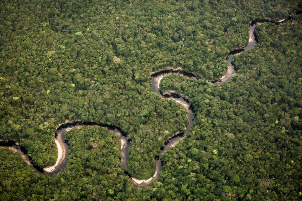 Con su forma de serpiente y sus aguas negras los ríos que recorren el Parque Nacional Natural Chiribiquete son algunos de los que aún fluyen libremente.