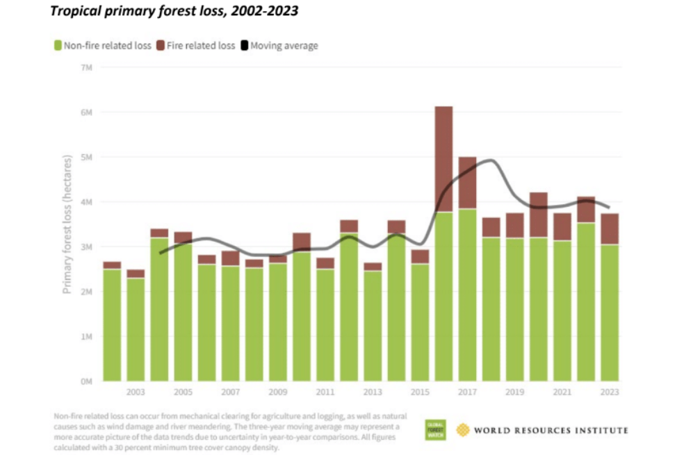 Pérdida de bosques tropicales entre 2002 y 2023.