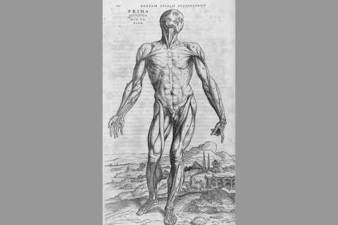 Andrés Vesalio: la ciencia y el arte de la anatomía (El teatro de la historia)