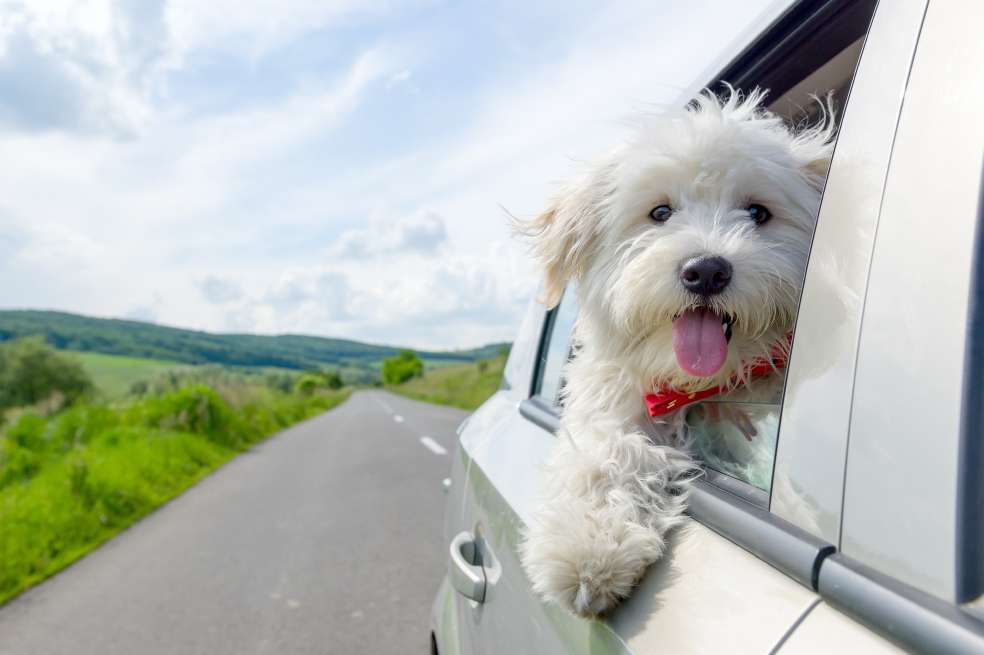 / iStock Photo