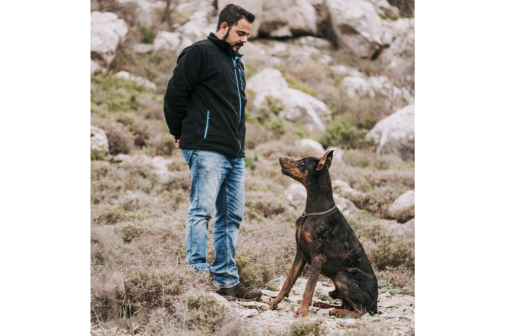 Doberman: 7 consejos para educar esta raza de perros