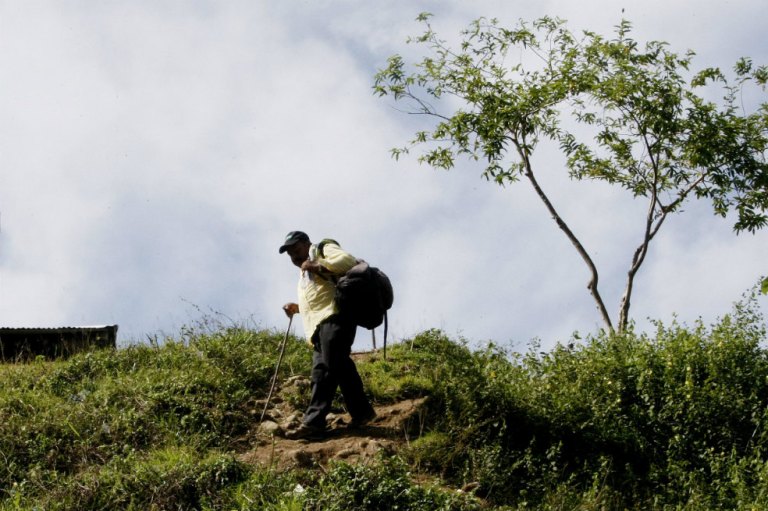Por primera vez los palmicultores hablarán ante la JEP sobre despojos en el Urabá