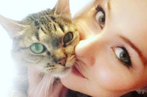 “Los gatos acompañan de formas indescriptibles": Paulina Laponte