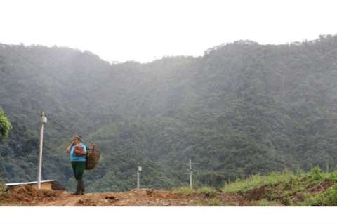 Cauca, Nariño y Valle: territorios de violencia