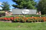Pfizer, acusado de haber ocultado que una de sus medicinas podría prevenir el Alzheimer
