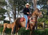 La historia de los caballos de Yeison Jiménez: raza, cuántos tenía y cómo se llamaban