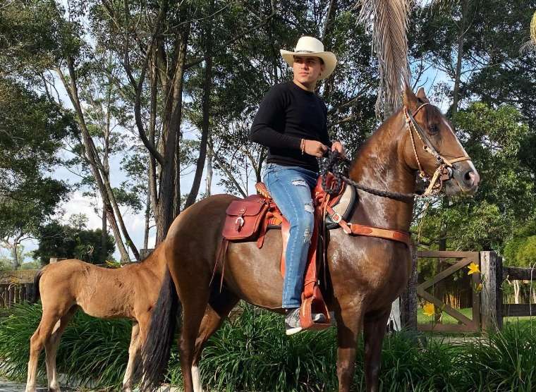 La historia de los caballos de Yeison Jiménez: raza, cuántos tenía y cómo se llamaban