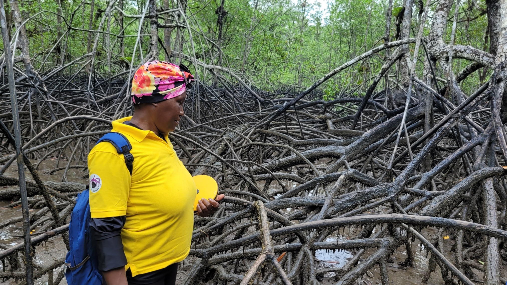 Las mujeres de la Asociación Raíces Piangüeras realizan actividades de monitoreo permanente de los sitios del manglar donde se lleva a cabo la extracción.