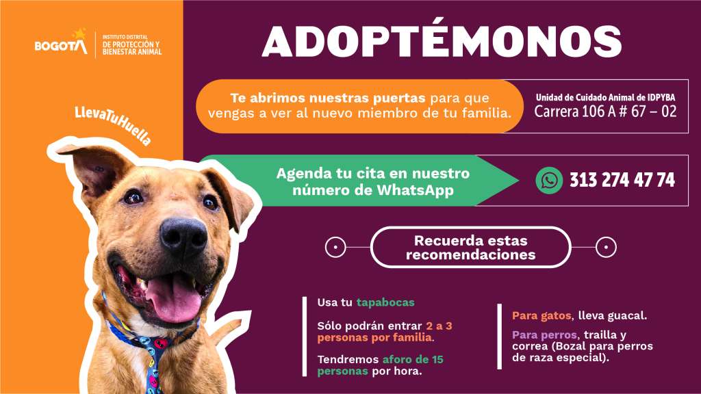 Adopción Bogotá