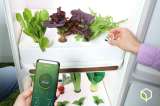 Samsung lanzará aplicación de jardinería inteligente para los hogares