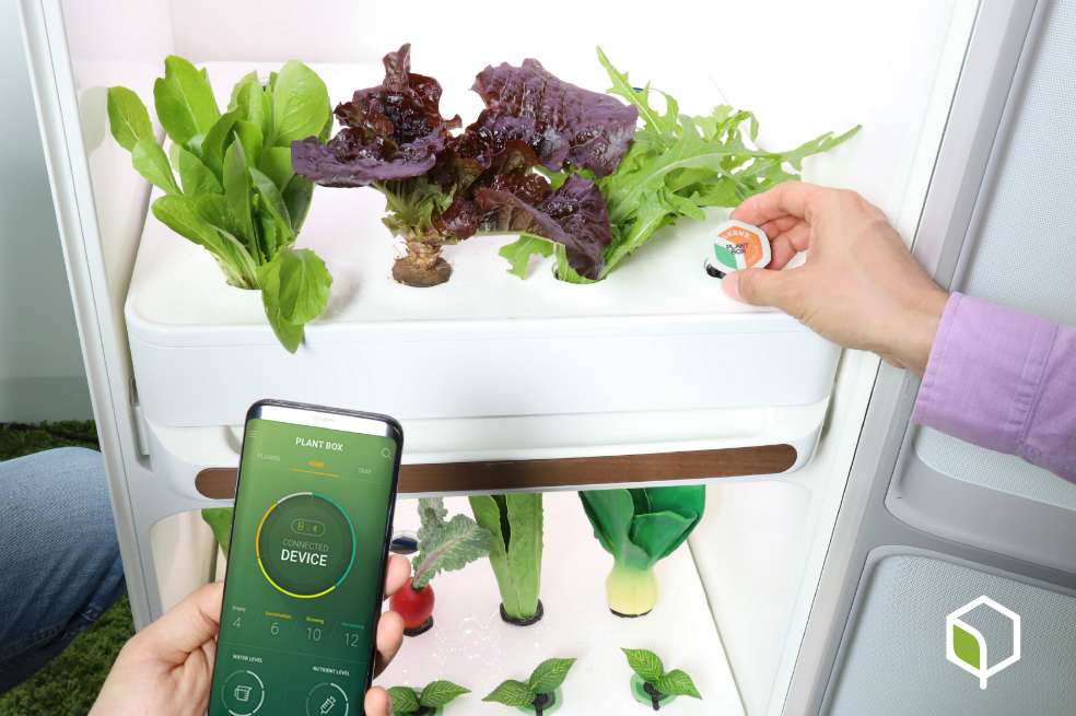 Samsung Electronics