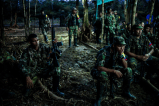 ‘Verde’, un recorrido de 10 años por las entrañas de las Farc