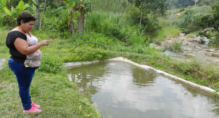 Antioquia tiene el mayor número de solicitudes de restitución de tierras