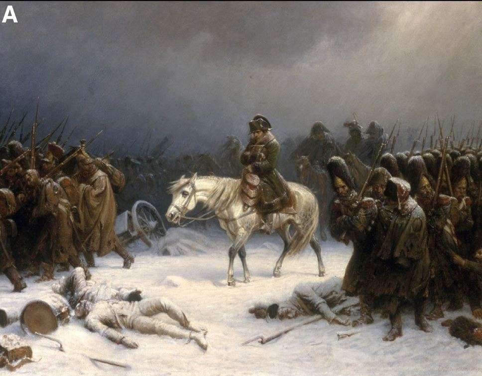 Durante la retirada de Napoleón de Rusia en 1812,innumerables soldados del ejército francés sucumbieron a enfermedades infecciosas, pero el patógeno o patógenos responsables siguen siendo objeto de debate. /Barbieri et al., Current Biology