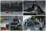 En imágenes: Trasladan a ballena que murió en un puerto uruguayo