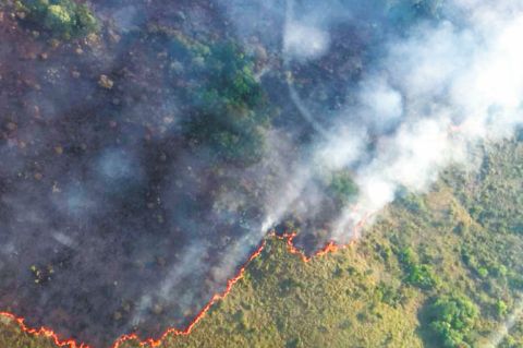 Se encienden las alertas por incendios forestales en Colombia