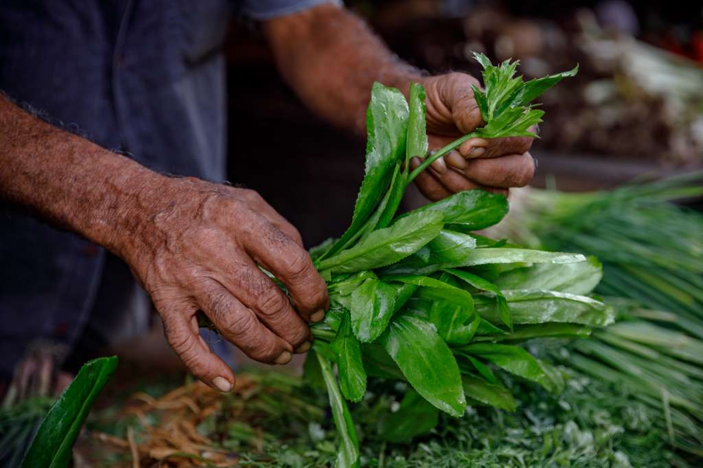 La agrobiodiversidad favorece la seguridad alimentaria de las comunidades.