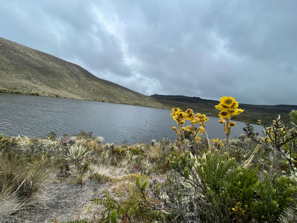 Se estima que Sumapaz tiene unas 30 lagunas. La cifra varía según la época del año. En la foto, laguna Colorados.