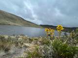 Nueva delimitación de Cruz Verde-Sumapaz: ¿Qué esperan las comunidades?