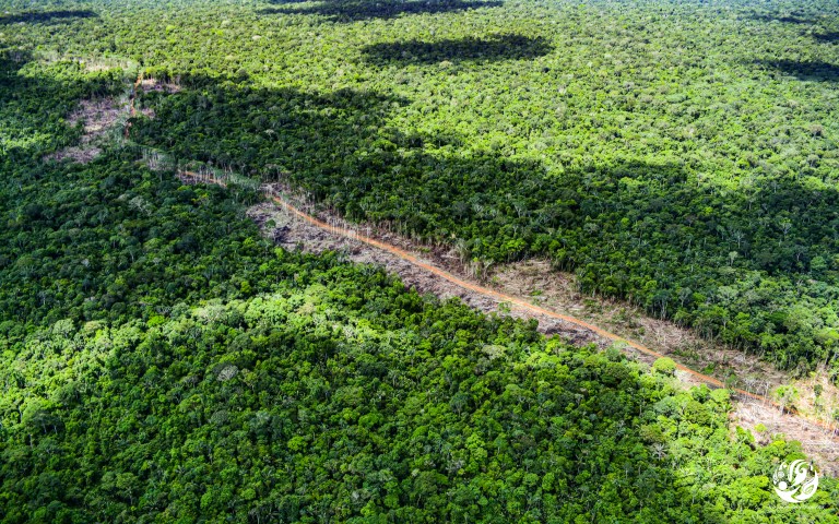 Así es como la mayor disidencia de las Farc maneja la deforestación en la Amazonia