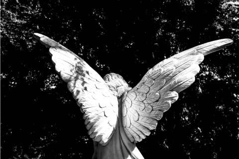 El ángel de piedra (Cuentos de sábado en la tarde)