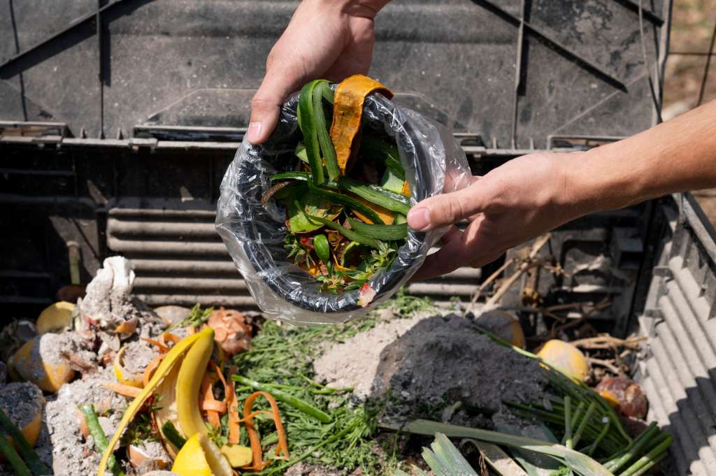 Desperdicio de alimentos