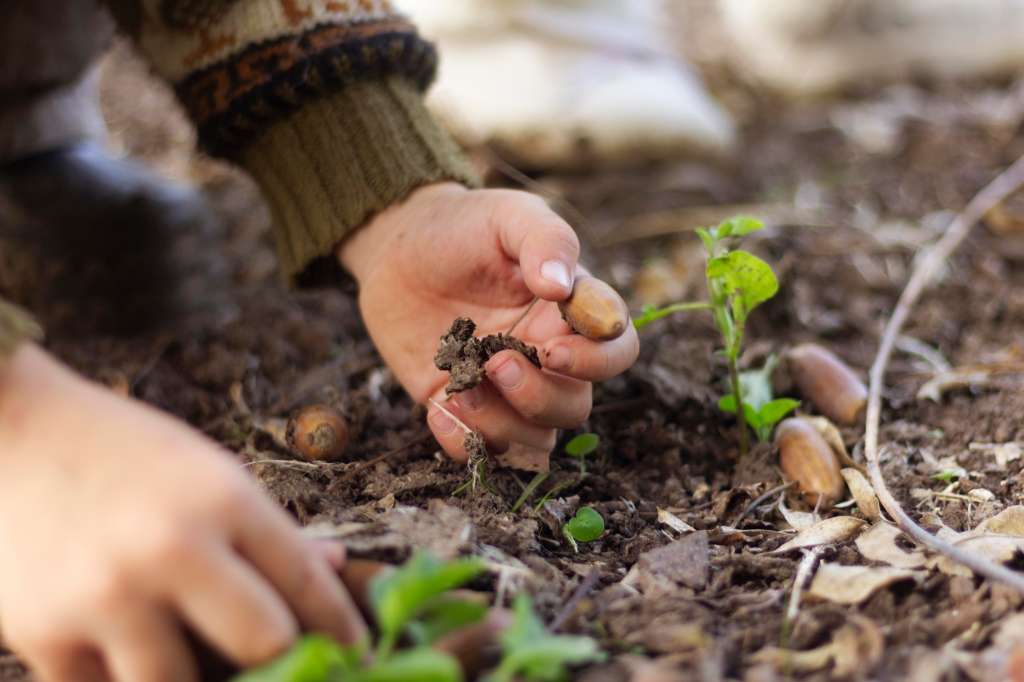 El Jardín Botánico los asesora técnicamente en su programa "Huertas Urbanas" y les provee insumos.