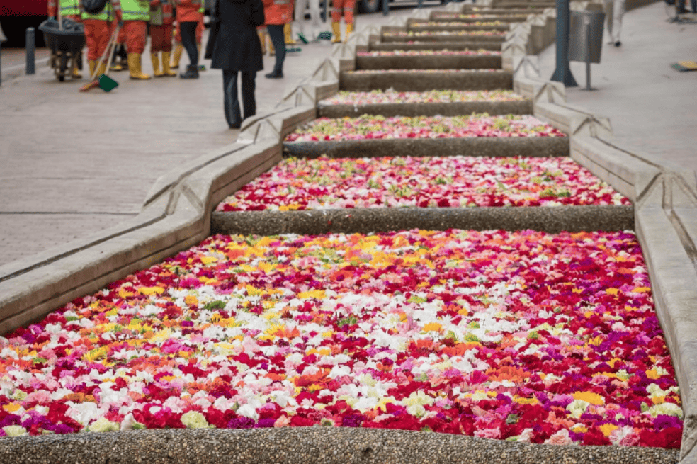 ¿Qué hicieron con las flores que adornaron el eje ambiental? Así terminaron