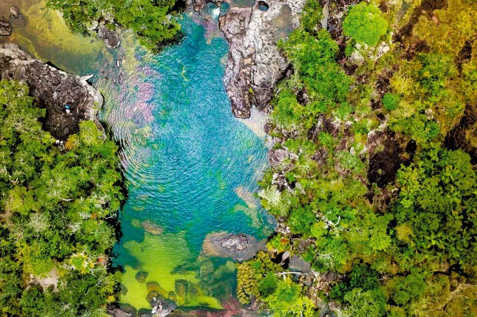 La zona tiene 737 especies de aves, 245 de peces, 39 de anfibios y 68 de reptiles. /Cortesía Sebastián Herrera - Gobernación del Meta