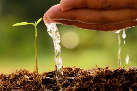 ¡No solo es agua! Harvard encuentra dos bebidas saludables