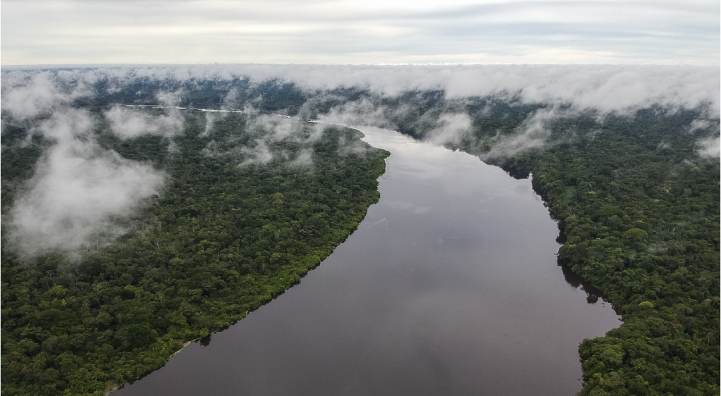 La Amazonía es uno de los puntos clave en el control de la deforestación.