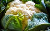 ¡Atrévete a probar! Aprende a cocinar estas dos recetas con coliflor en casa