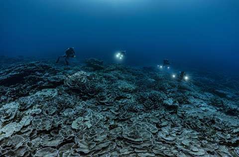 Unesco se comprometió a cartografiar el 80 % de los fondos marinos para 2030