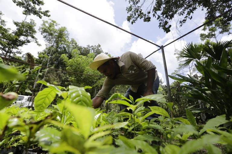 Ventas de bonos sostenibles alcanzan un billón de dólares por segunda vez