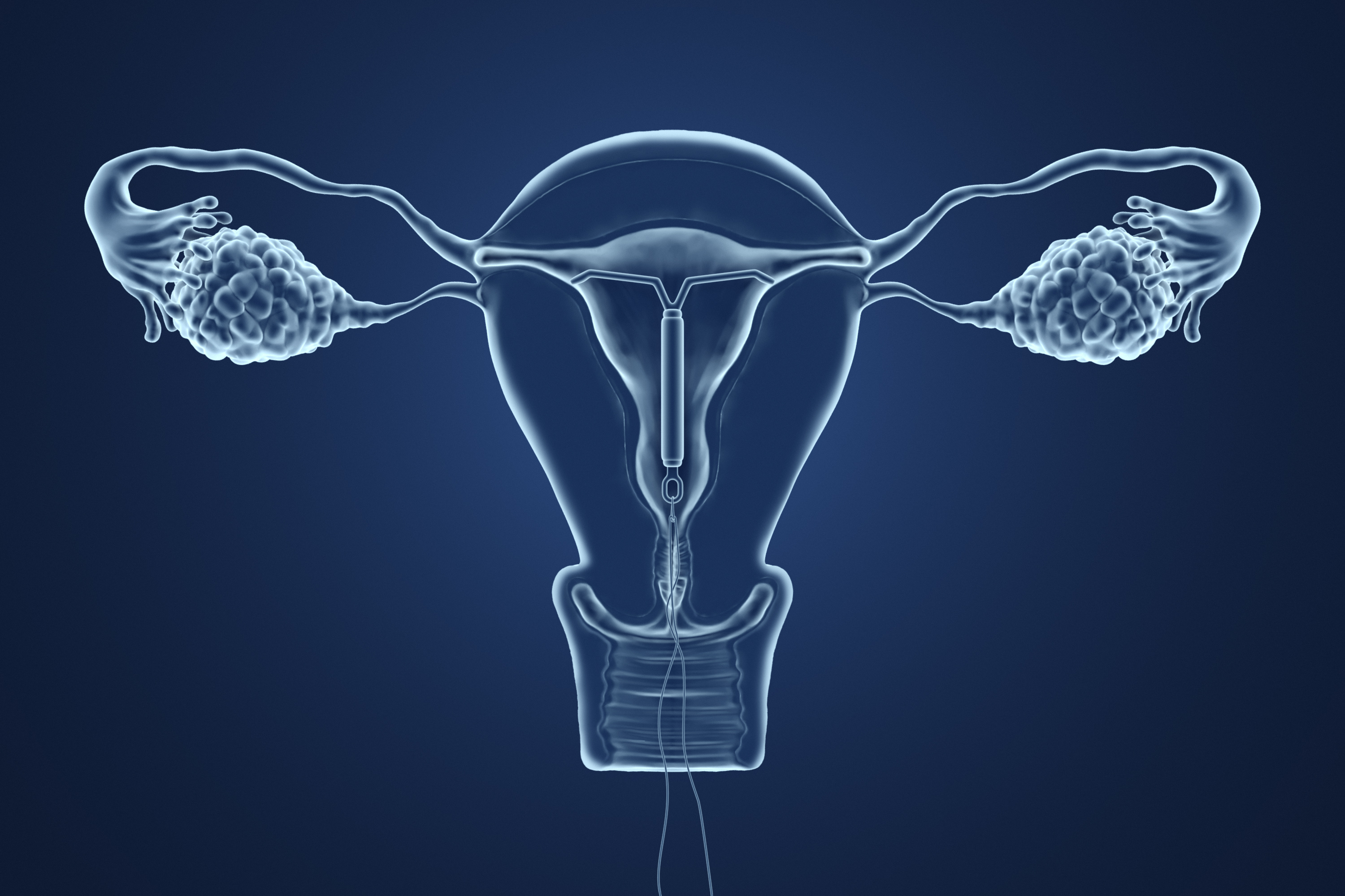 Para los científicos, con esta herramienta se pueden probar los tratamientos para vaginiosis bacteriana